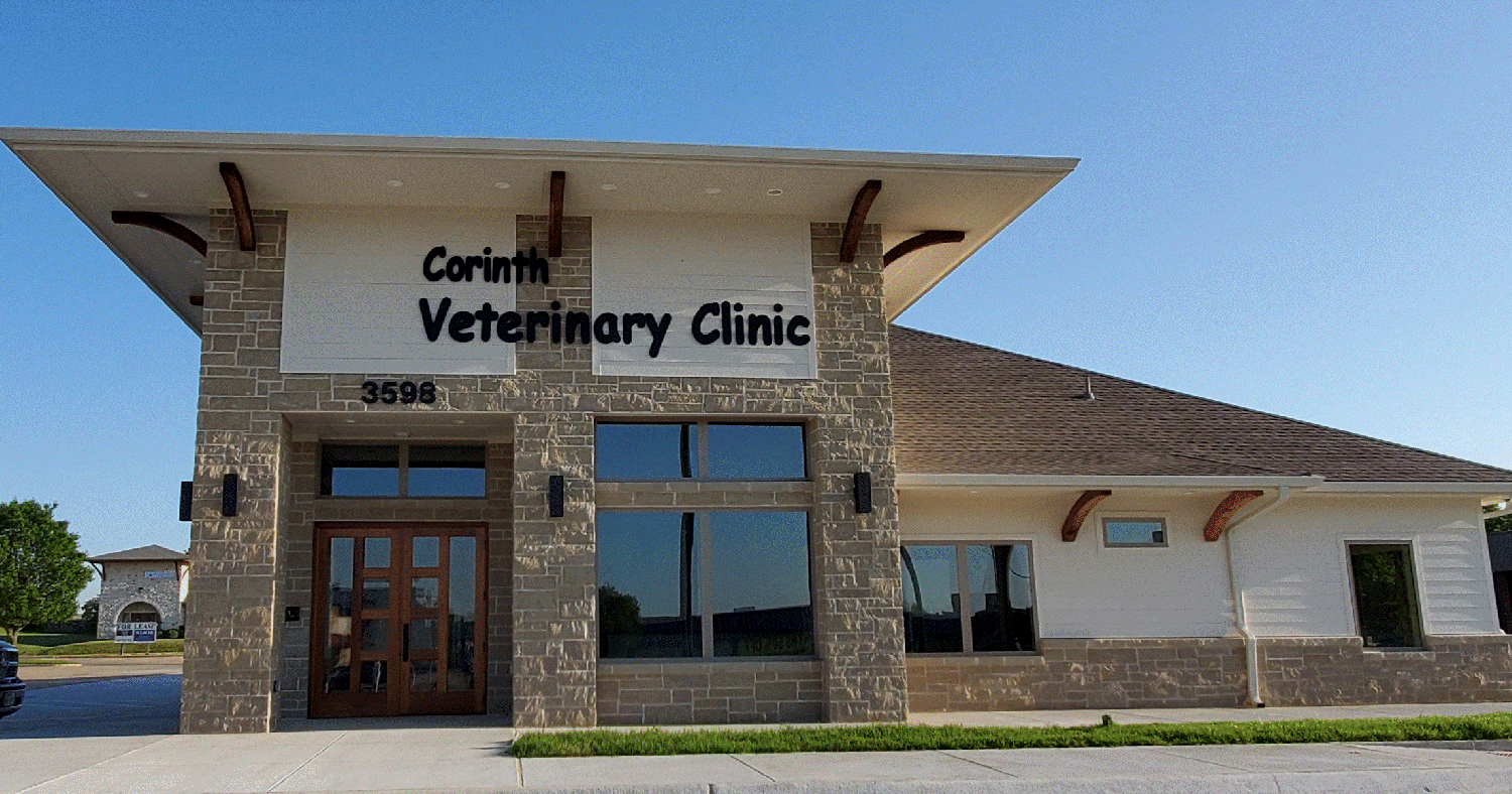 Corinth Vet Clinic - Hickory Creek, TX - About Us